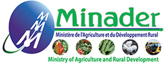MINADER